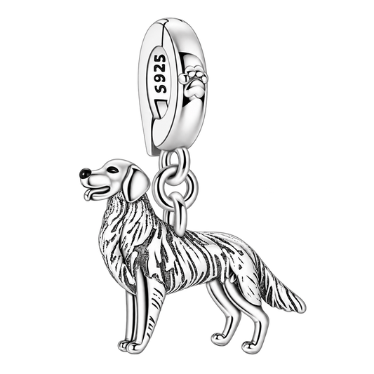 Charm product on a transparent background