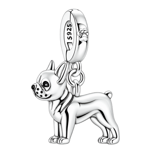 Charm product on a transparent background