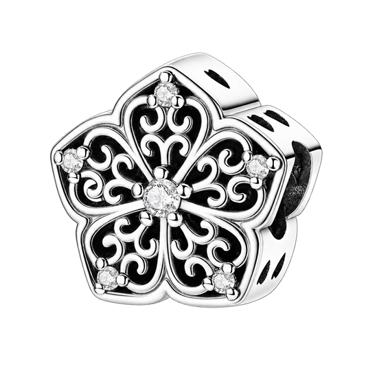 Charm product on a transparent background