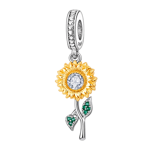 Charm product on a transparent background