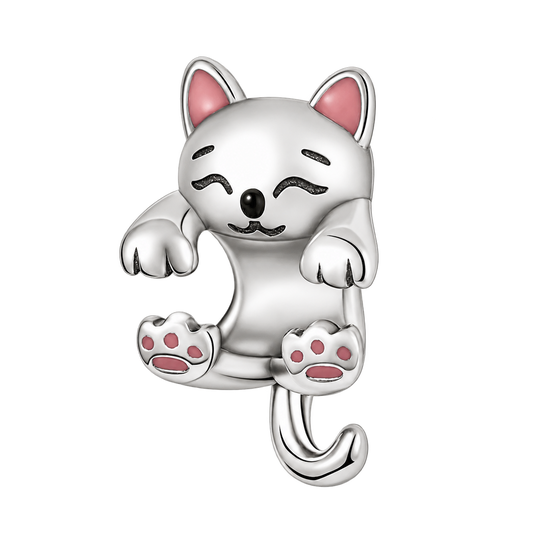 Charm product on a transparent background